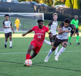 Official : Major League Soccer club Real Salt Lake sign versatile American-Nigerian player 