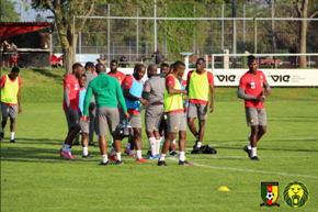Two more players pull out of Cameroon squad; 17 Lions involved in first workout in Austria pre-Nigeria 