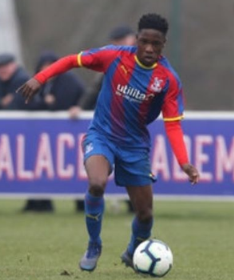 The 41-Goal Crystal Palace Striker Who Can Solve Nigeria U17 Goalscoring Problems 