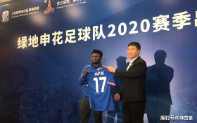 Official : Shanghai Shenhua Sign Former Newcastle Striker To Replace Odion Ighalo 