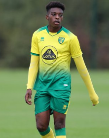 Official : Nigerian Striker Inks New Contract With Norwich City