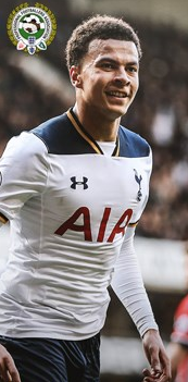 Tottenham's Dele Alli Emulates Super Eagles Stars Ikeme, Shittu, Sodje ; Named In PFA Team Of The Year