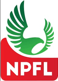 Lead by example, pay your staff - NPFL club official tells IMC