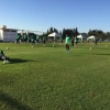 Rohr Drops Big Hint Aina & Iwobi Will Start Vs Algeria: How Team A & B Lined Up