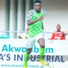 Newcastle United, Fulham Battling Bundesliga Clubs For Nigeria International Defender
