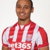 Peter Odemwingie Joins Bristol City On Loan