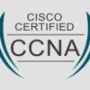 Effective Guide to Cisco 300-420 Certification Exam: Exploring Requirements And Available Prep Options