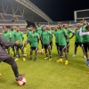 Costa Rica coach admits he does not expect Nigeria to be similar to Spain, Germany or JapanÂ