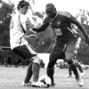 Bentleigh Greens To Challenge Springvale White Eagles For Ajao Philip Taye