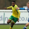 Official : Premier League New Boys Norwich City Trigger Option To Extend Odusina