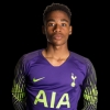 Goalkeeper Oluwayemi Given New Tottenham Deal; Five Nigeria-Eligible Players Retained