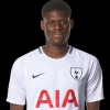 Tottenham Hotspur Star Offers Massive Praise For Young Nigerian Duo