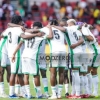 Super Eagles starting XI: Okoye, Simon, Boniface, Onyeka start; Uche full debut; Arokodare bench