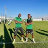 Super Eagles camp update : Peseiro still waiting to welcome Osimhen, Chukwueze, two others
