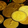 How to make crypto plinko very profitable