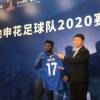 Official : Shanghai Shenhua Sign Former Newcastle Striker To Replace Odion Ighalo