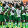 SWAN FCT chief urges NFF to mobilise fans to cheer Eagles to victory in return leg vs Ghana