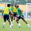 Finidi handed boost as Osimhen set to be fit for Super Eagles showdown against Bafana Bafana