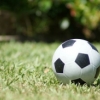 Football Live Betting