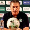 Super Eagles v Indomitable Lions: Peseiro speaks on changing Chukwueze, Simons roles; Cameroon GK situation