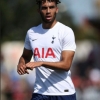 Cardiff City interested in signing Tottenham Hotspur