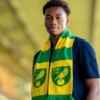 Confirmed: Two defenders of Nigerian descent sign new contracts with Norwich City
