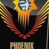 Fountain Youths Float Phoenix FC